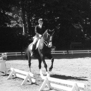 Dansk Varmblod Sant Jordi´s Mccoy, B-Hest billede 34