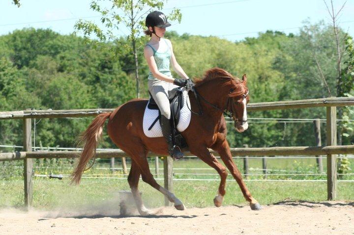 DSP NYHOLMS SINATRA billede 2