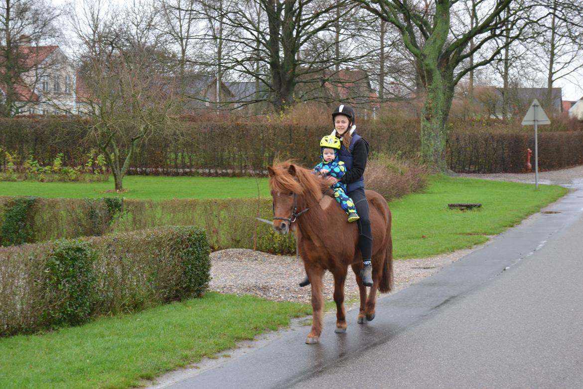 Islænder stjarna<3 billede 17