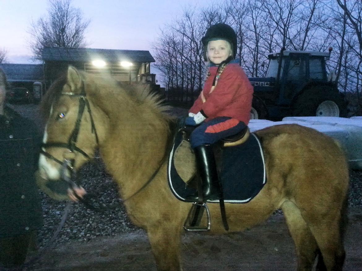 Anden særlig race *NALA* - Igen første gang med rytter på :D billede 16