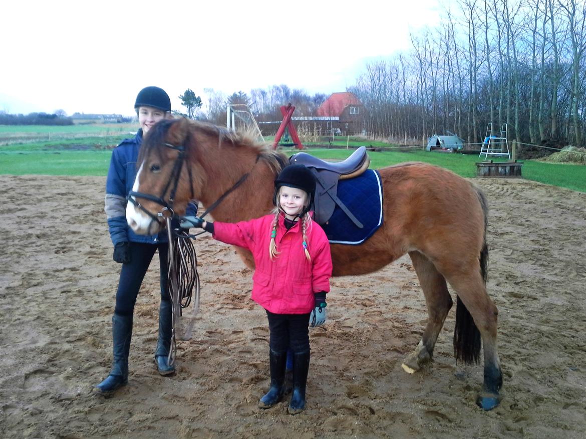 Anden særlig race *NALA* - Nala, Natasja og Malene sammen på ridebanen :D billede 15