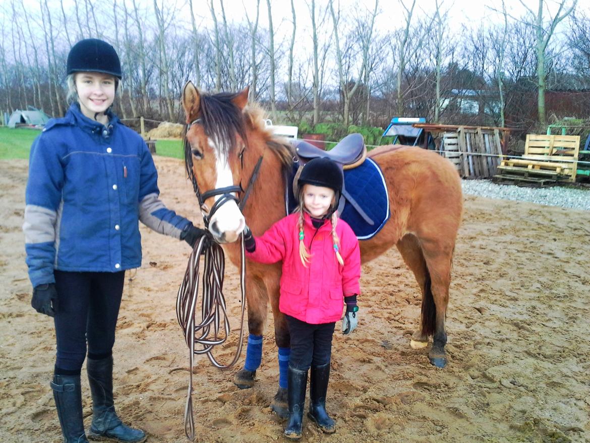 Anden særlig race *NALA* - Så skal der rides! :D billede 5