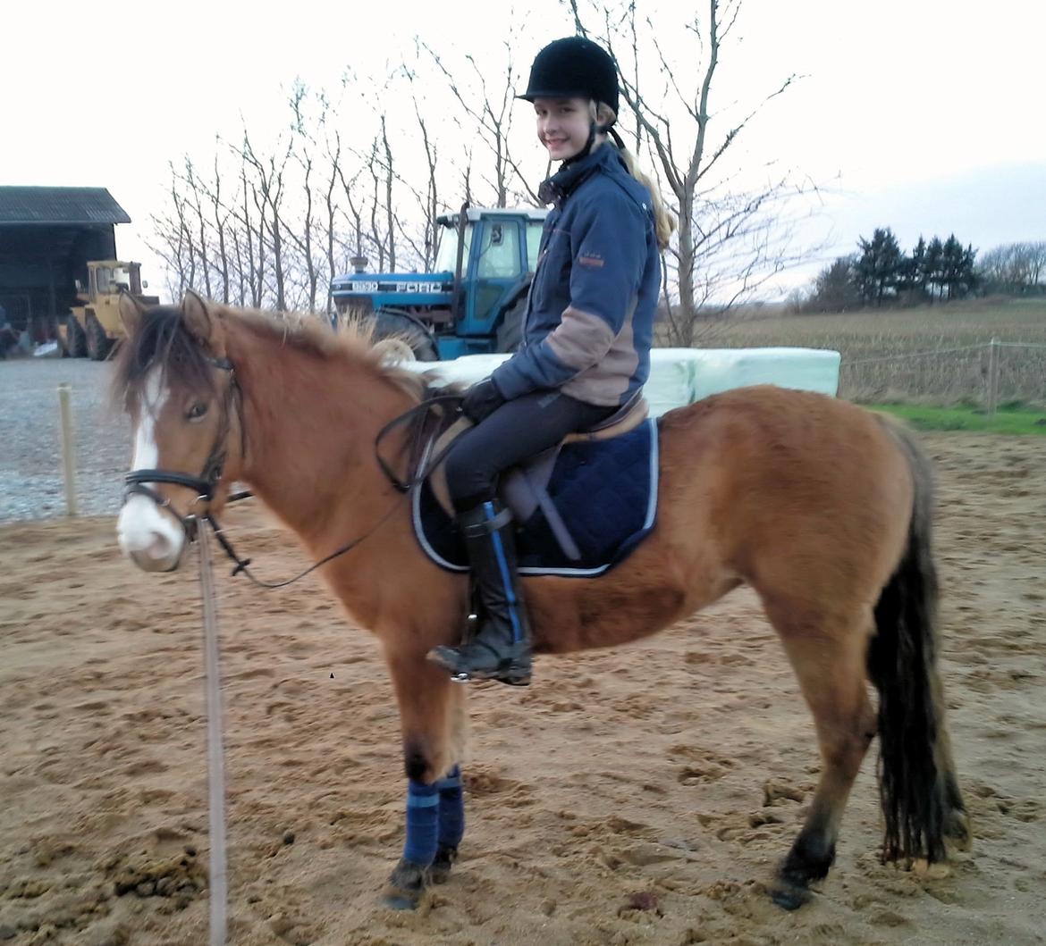 Anden særlig race *NALA* - Nala med rytter på for anden gang :D billede 6