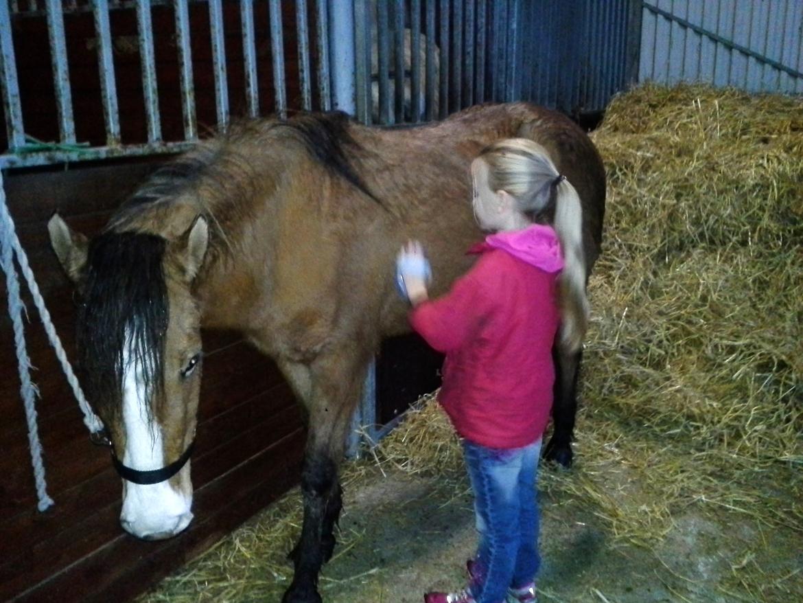 Anden særlig race *NALA* - Natasja strigler Nala for første gang selv (med opsyn/hjælp) billede 9