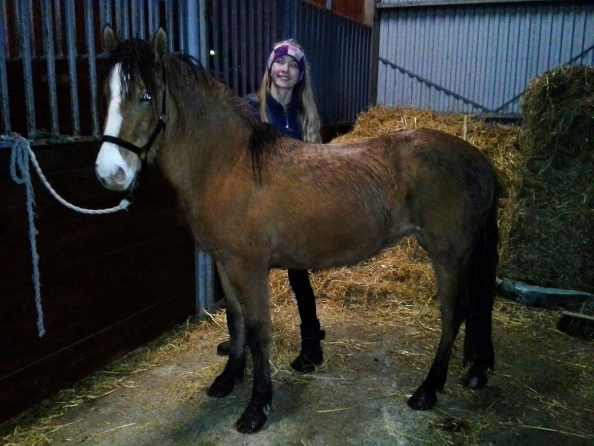 Anden særlig race *NALA* - Fra anden dag hun kom til os :D Smule tynd, men allerede meget pænere :D billede 13