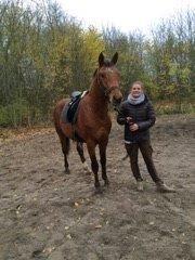 Anden særlig race Royal z`s Fighter billede 18