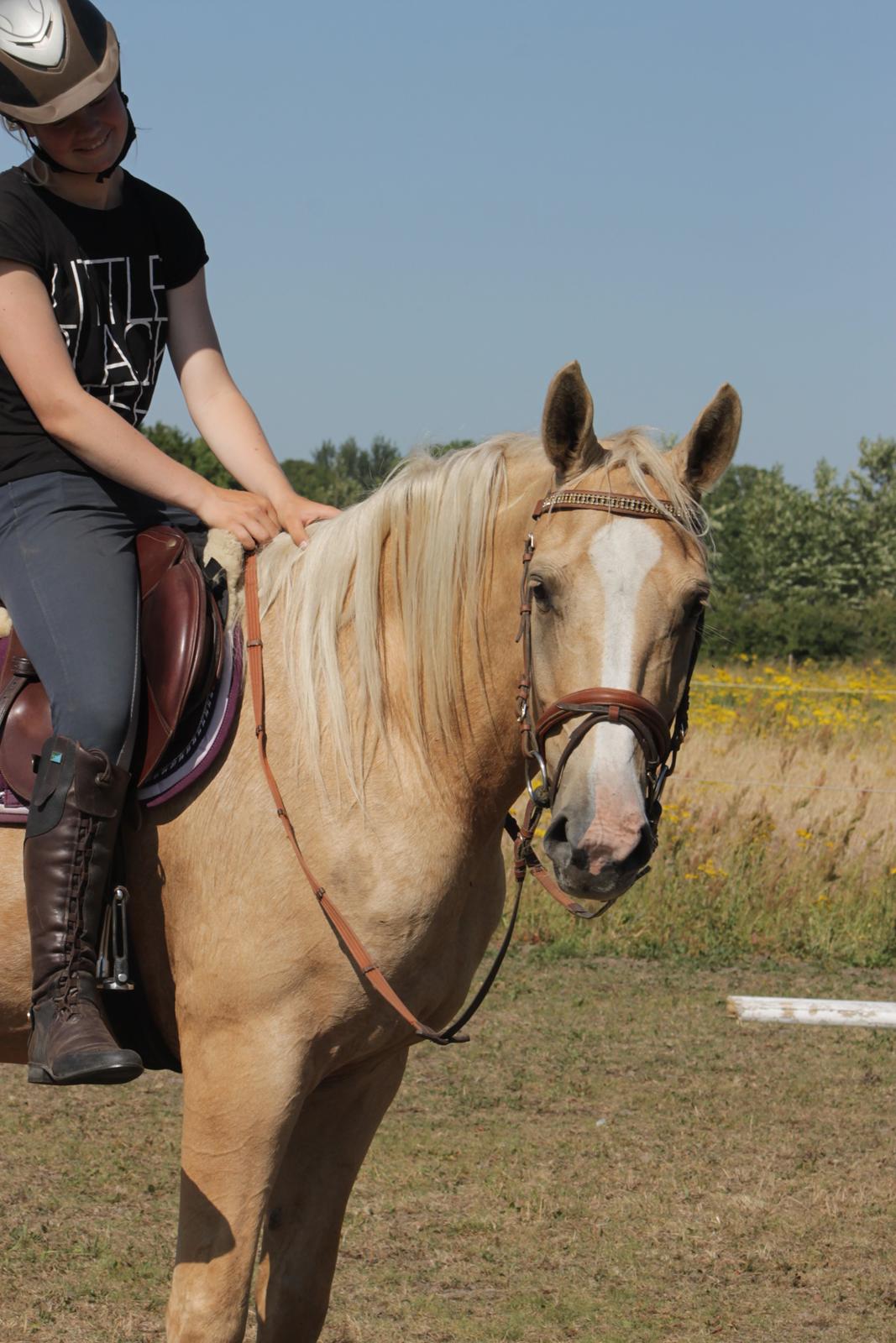 Anden særlig race Roosgårdens Chanta Lou billede 9