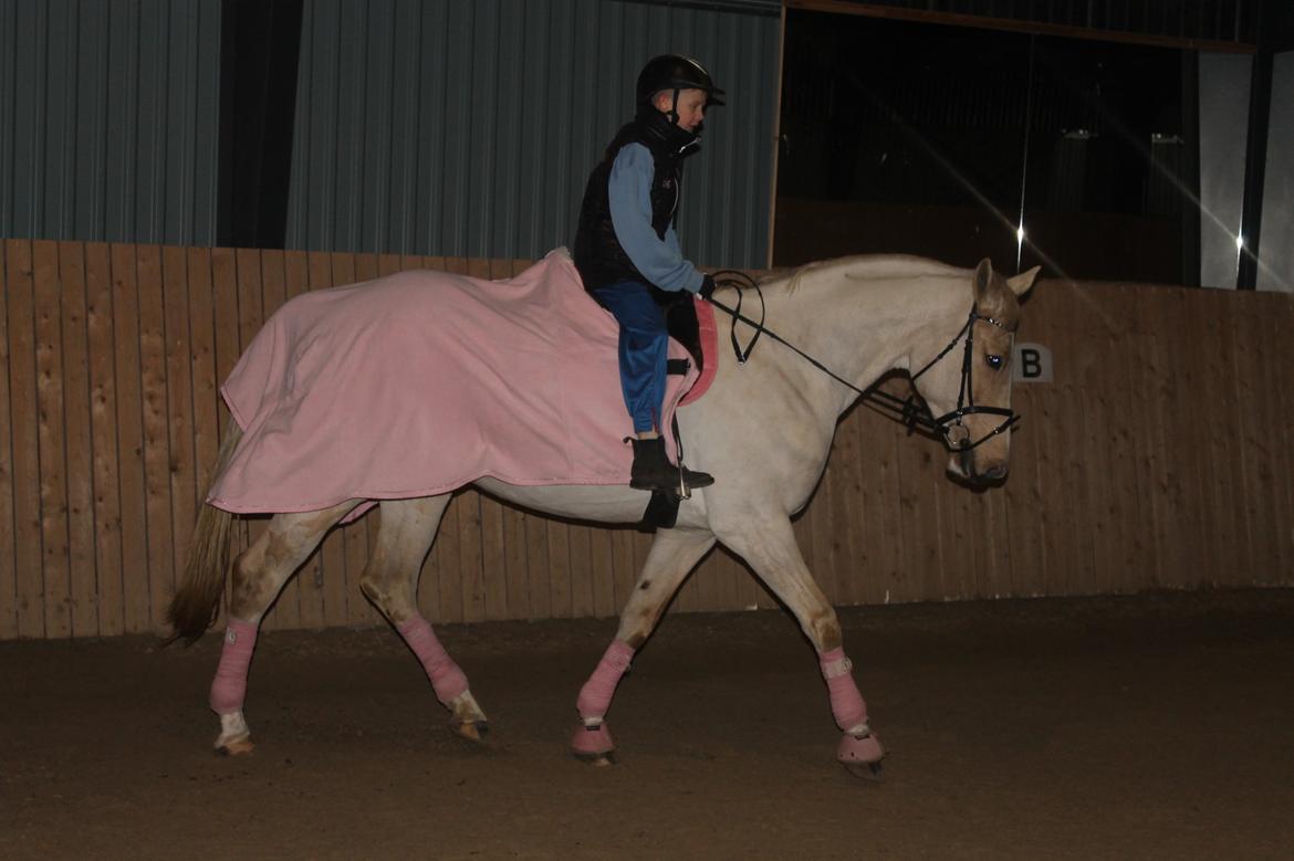 Anden særlig race Roosgårdens Chanta Lou - lillebror mikkel og flaske billede 10