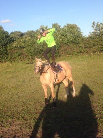 Anden særlig race Roosgårdens Chanta Lou billede 18
