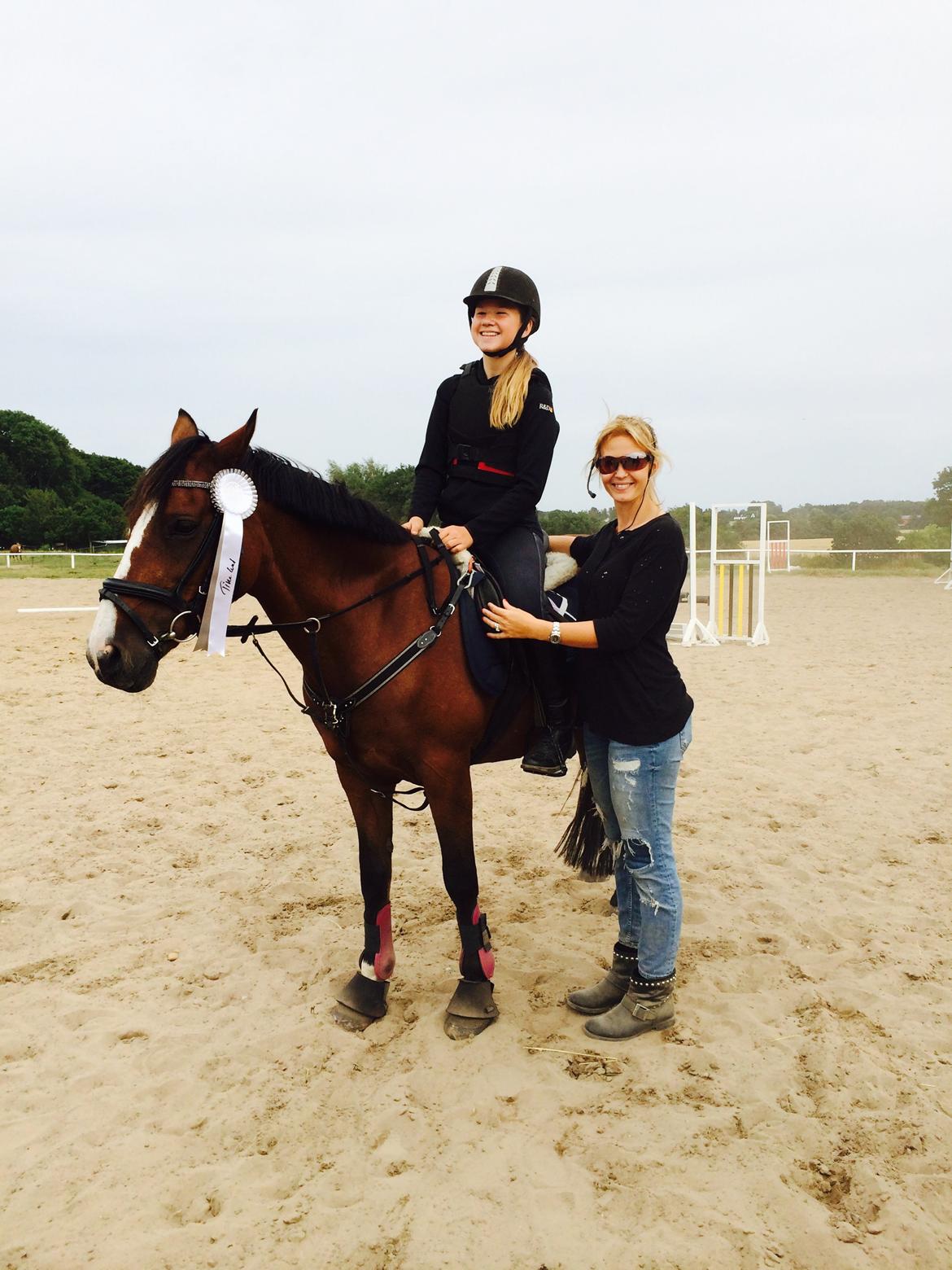 New Forest Miss Malou billede 8