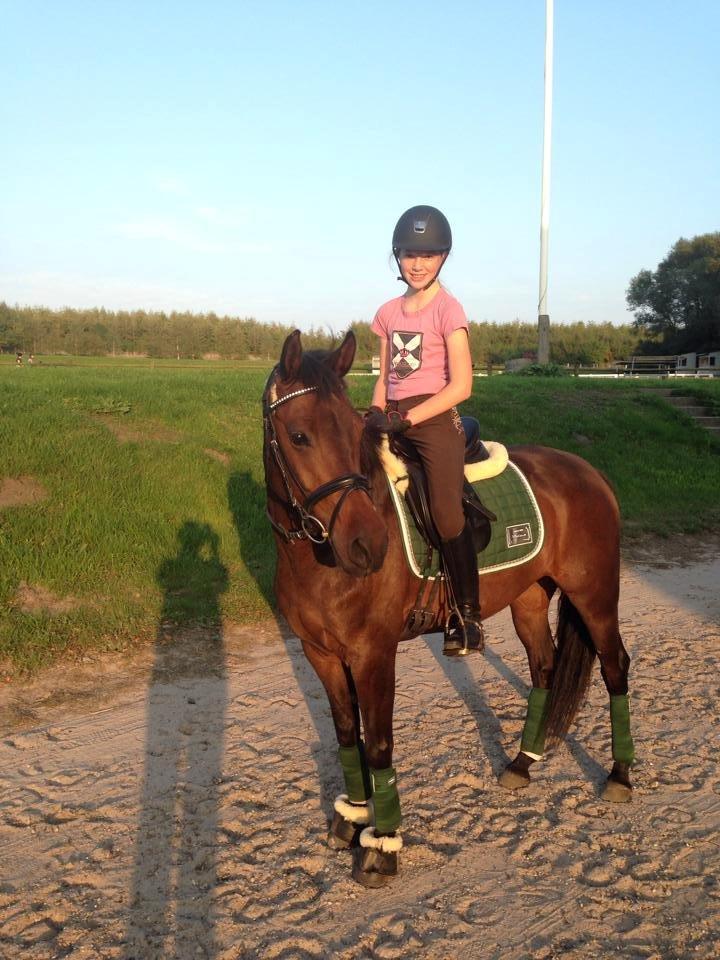 DSP Kjær's Calderina - Den dag jeg fik hende hjem, fantastisk dag! Efterår 2014 billede 4