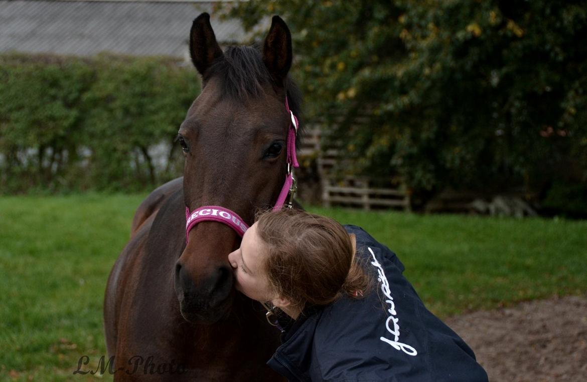 DSP Kjær's Calderina - Elsker dig! Efterår 2014 billede 2