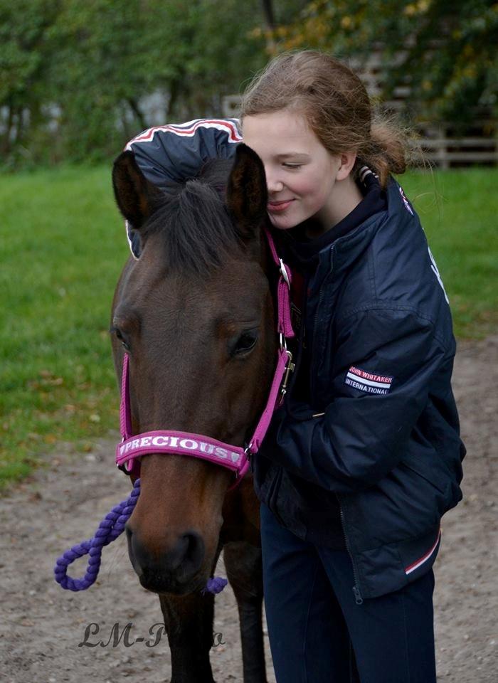 DSP Kjær's Calderina - Den bedste! Efterår 2014 billede 6