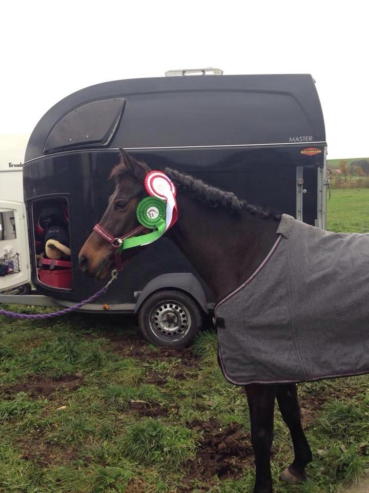 DSP Kjær's Calderina - Velkommen til Calderinas profil-Efter vores andet stævne! billede 1