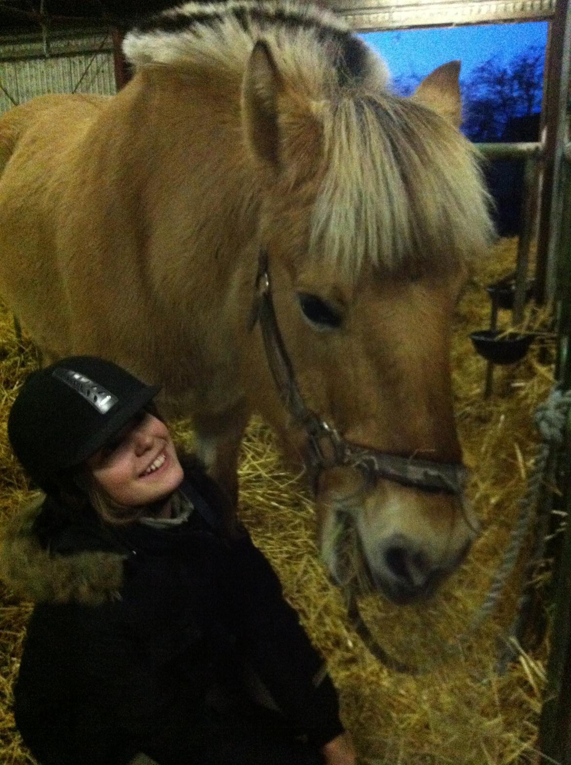 Fjordhest Lotte AKA. Lotski, Muffer billede 11