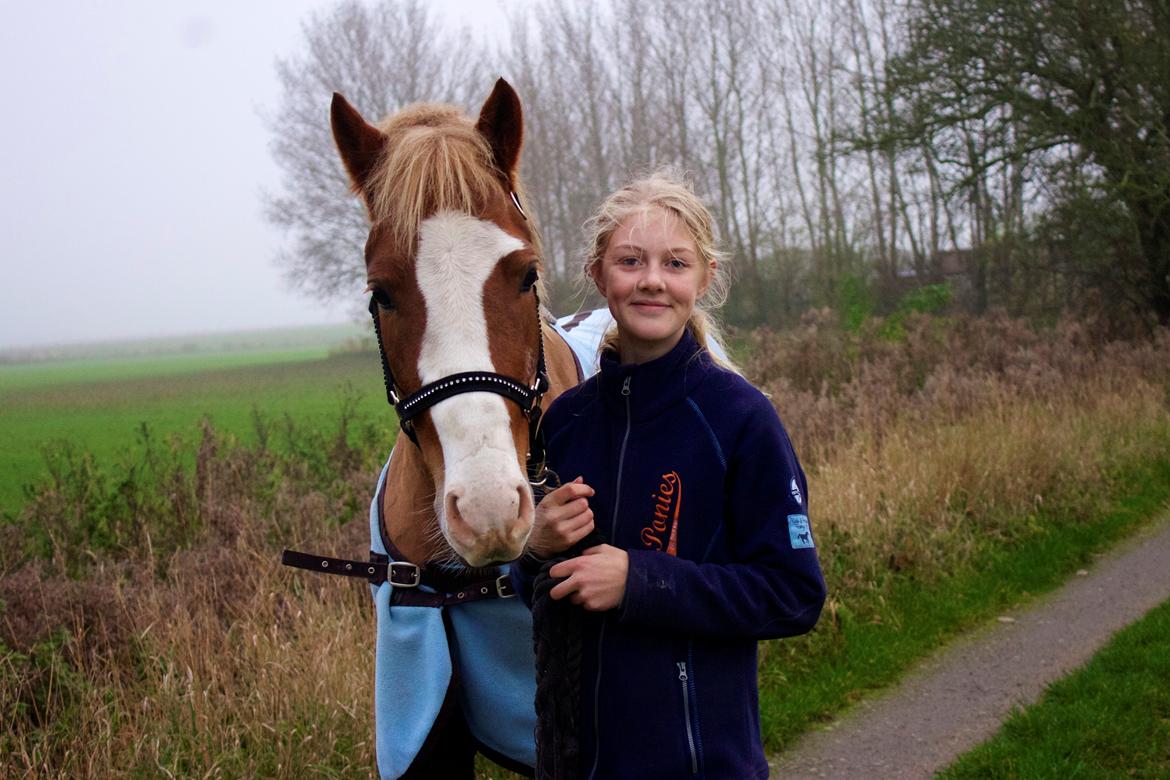 Welsh Partbred (Sec F) Ørsteds Carpaccio - Hehe, to tosser :D billede 32