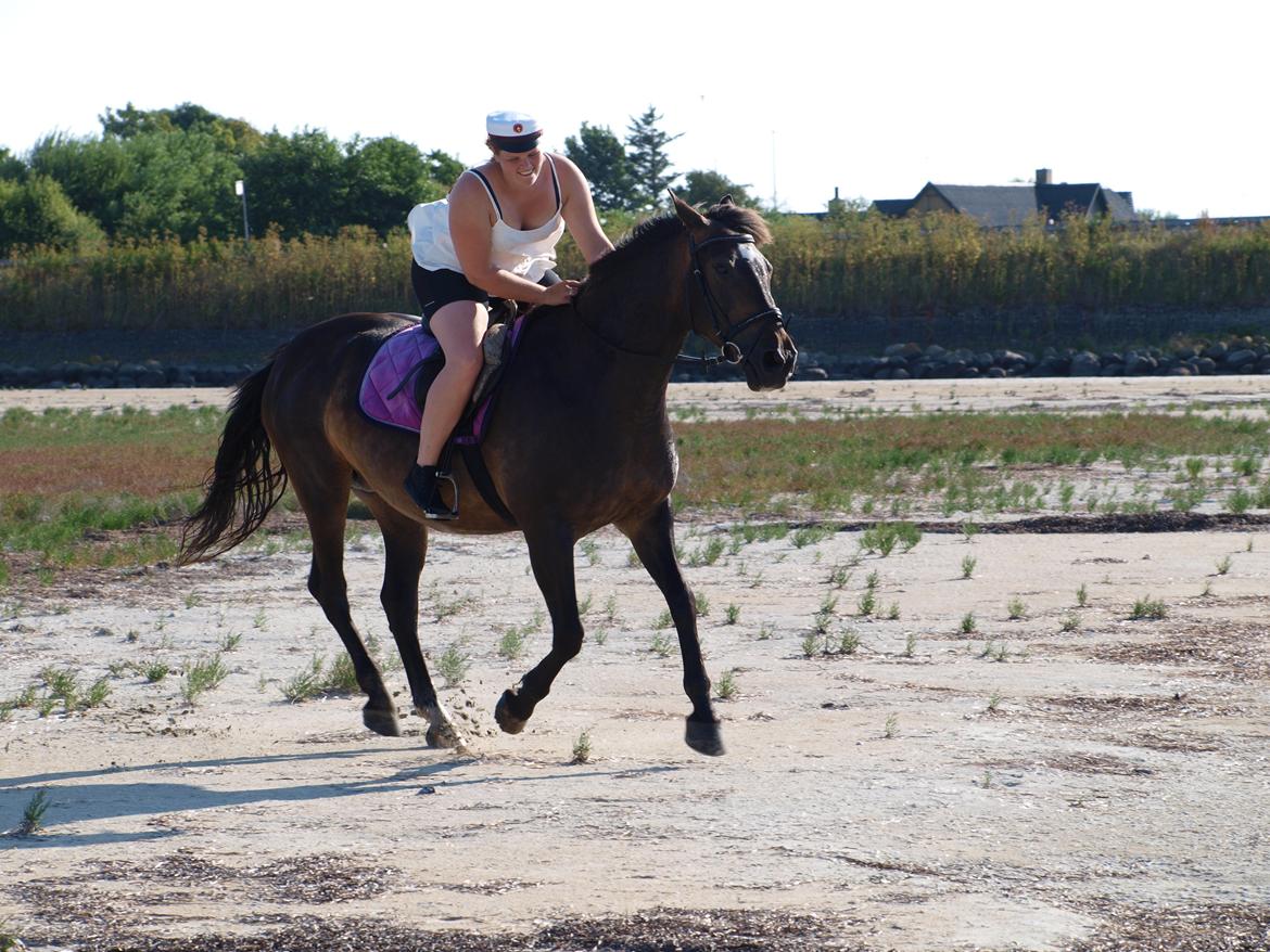 Anden særlig race Lady - 24. En sidste galop tur <3 billede 24