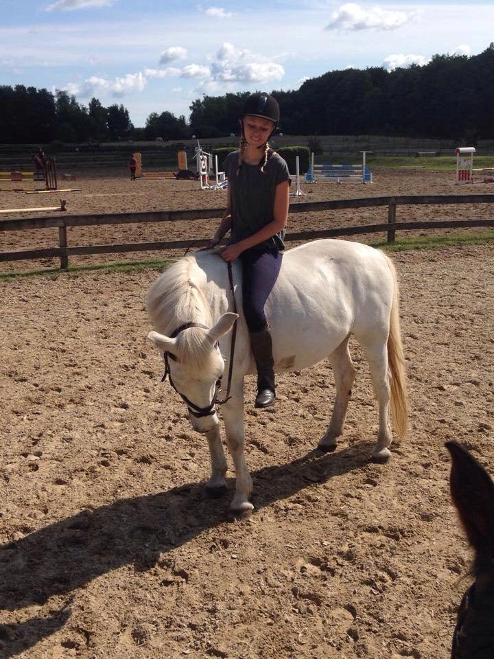 Anden særlig race Bandit <3 - Soulmate billede 9