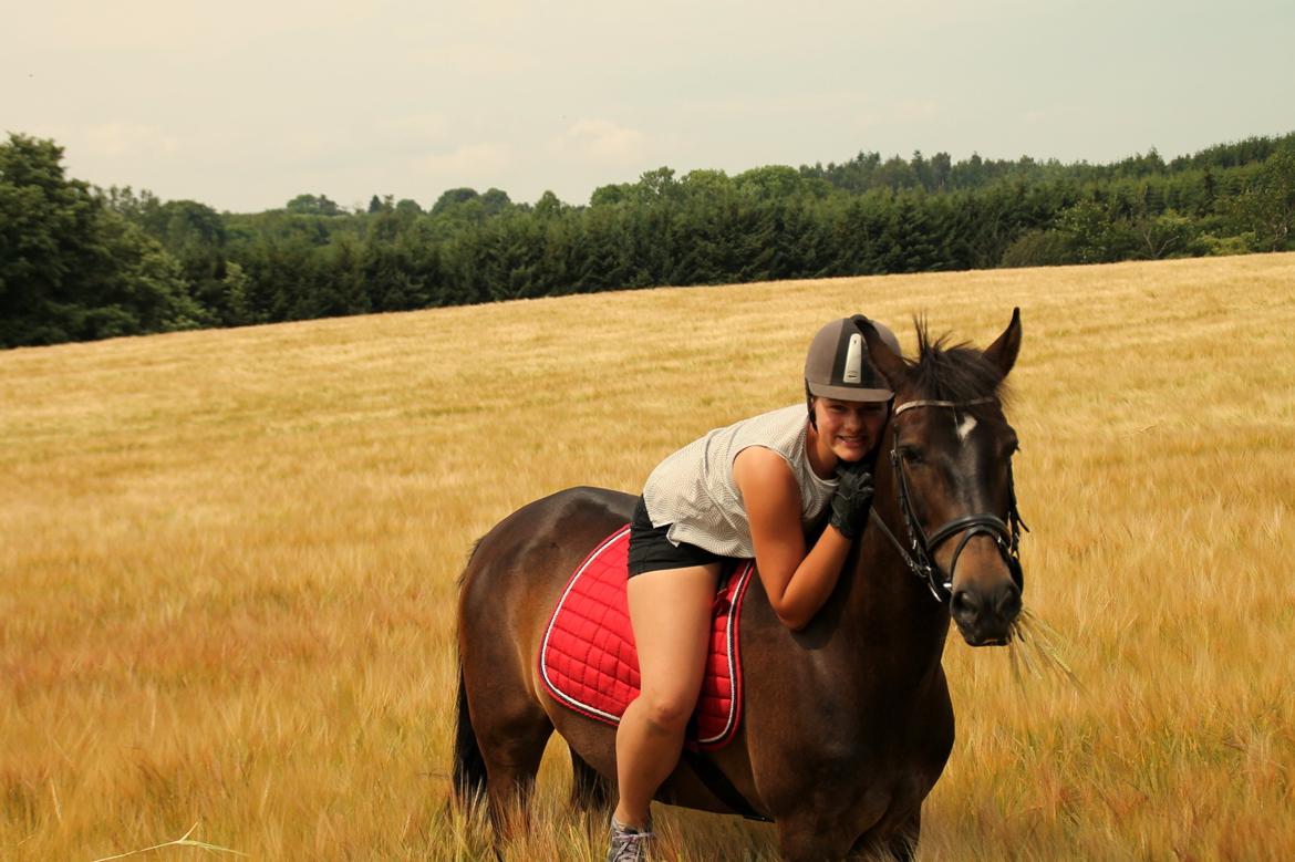 New Forest Elmholts Furore  - Min bølle <3 billede 10