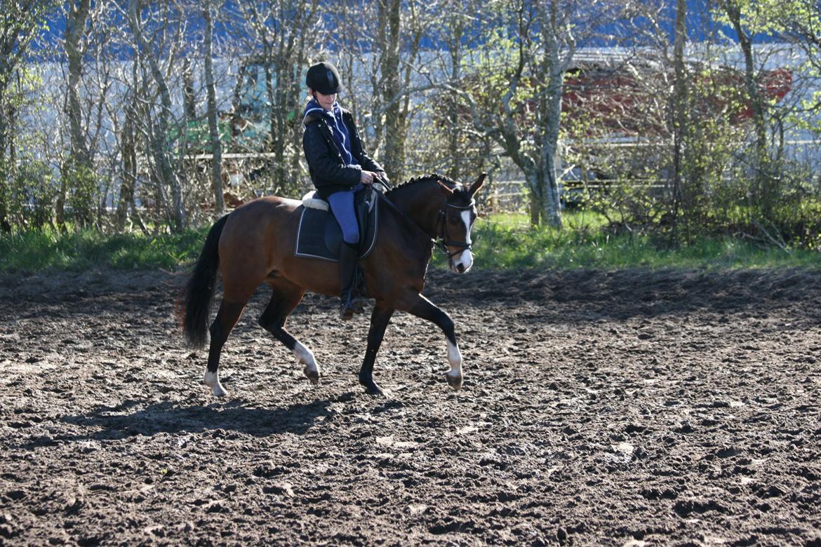 DSP Lundgaards Friday billede 2