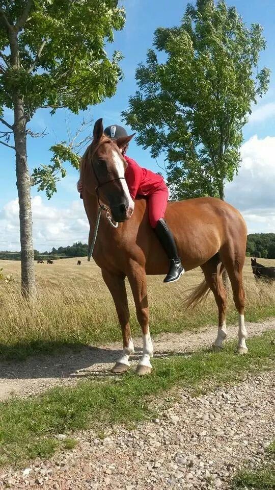 DSP Aichah billede 9