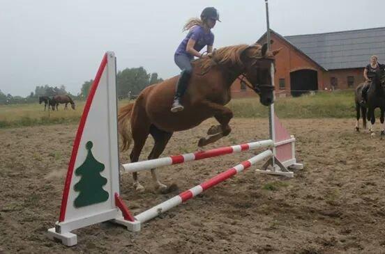 DSP Aichah billede 10