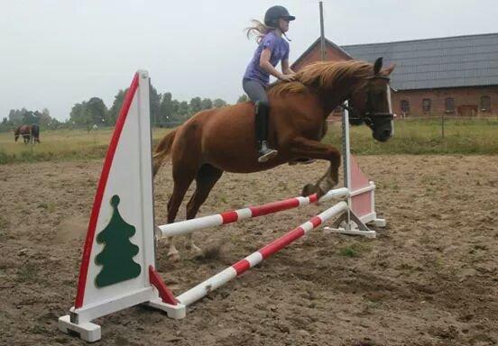 DSP Aichah billede 11