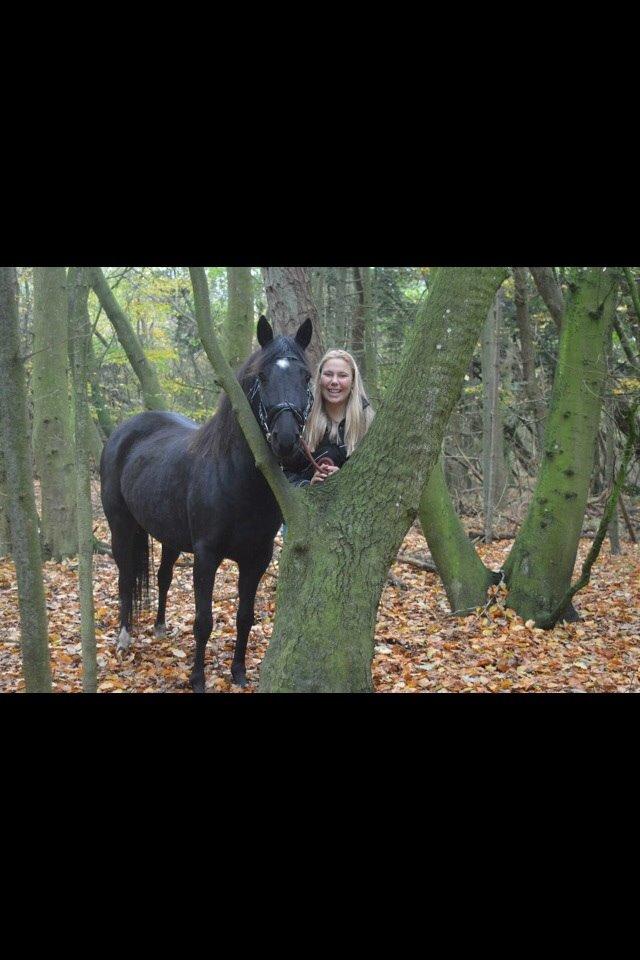 DSP Rotterdam's Chanel no. 5 I daglig talt Chanel billede 1