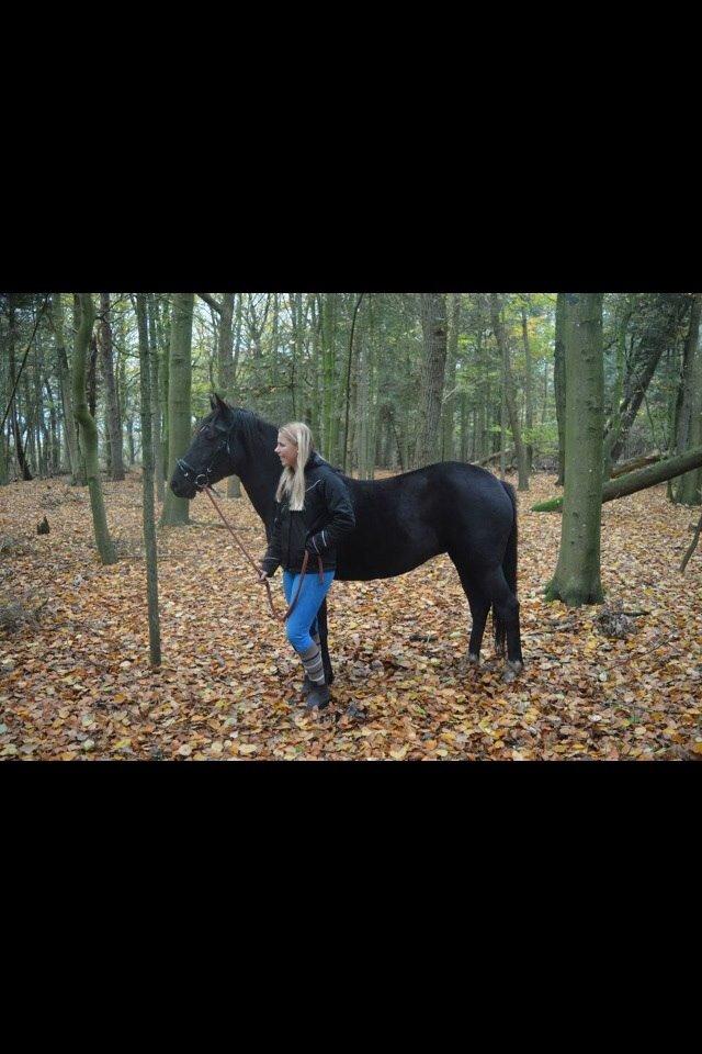 DSP Rotterdam's Chanel no. 5 I daglig talt Chanel billede 2