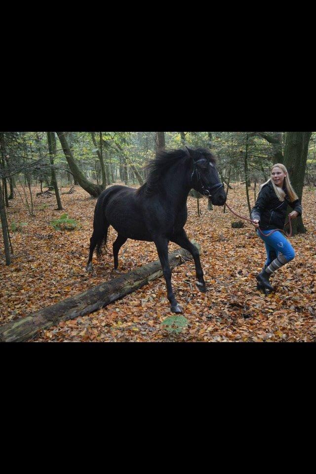 DSP Rotterdam's Chanel no. 5 I daglig talt Chanel billede 3