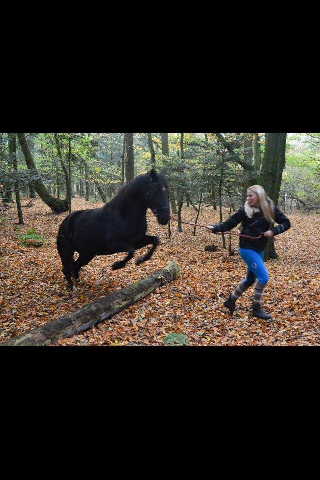 DSP Rotterdam's Chanel no. 5 I daglig talt Chanel billede 4