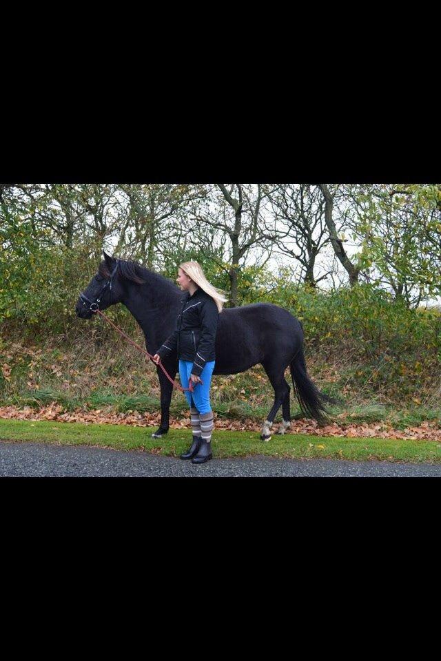 DSP Rotterdam's Chanel no. 5 I daglig talt Chanel billede 10