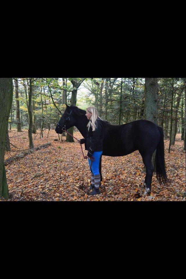 DSP Rotterdam's Chanel no. 5 I daglig talt Chanel billede 12