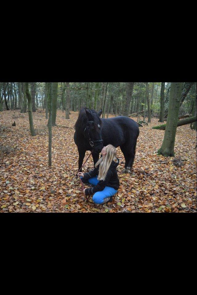 DSP Rotterdam's Chanel no. 5 I daglig talt Chanel billede 13