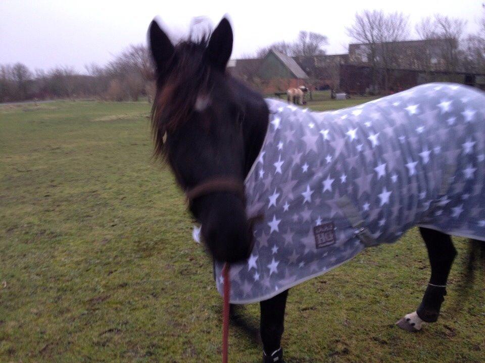 DSP Rotterdam's Chanel no. 5 I daglig talt Chanel billede 14