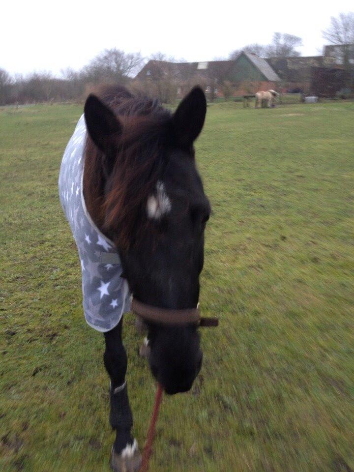 DSP Rotterdam's Chanel no. 5 I daglig talt Chanel billede 15