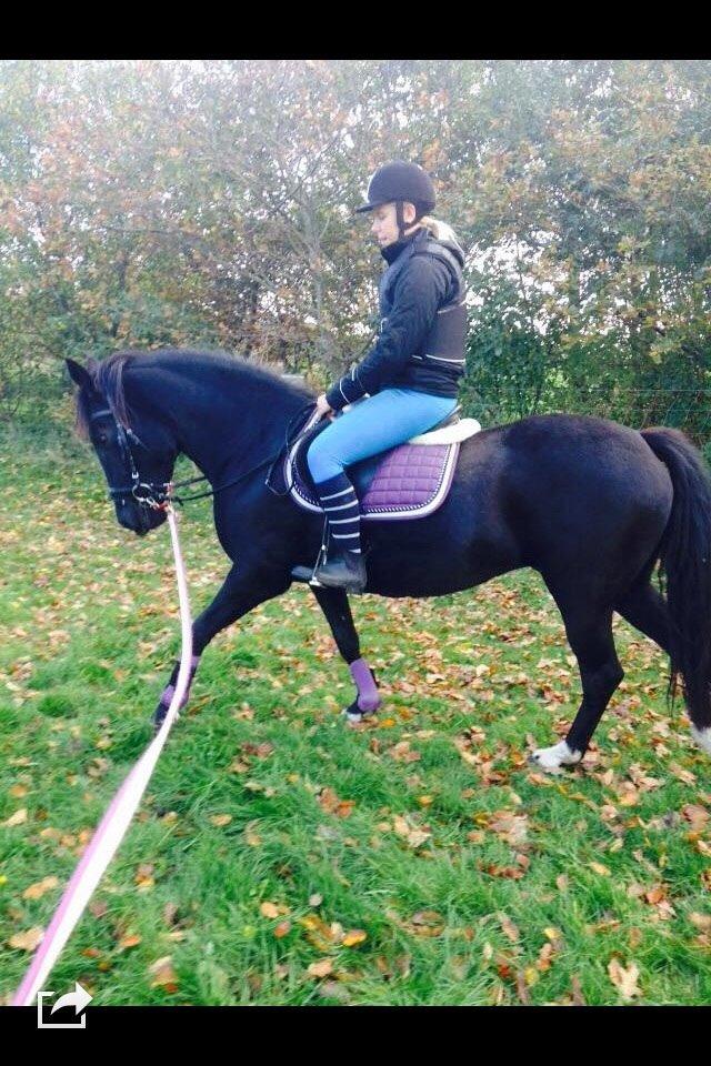 DSP Rotterdam's Chanel no. 5 I daglig talt Chanel billede 17