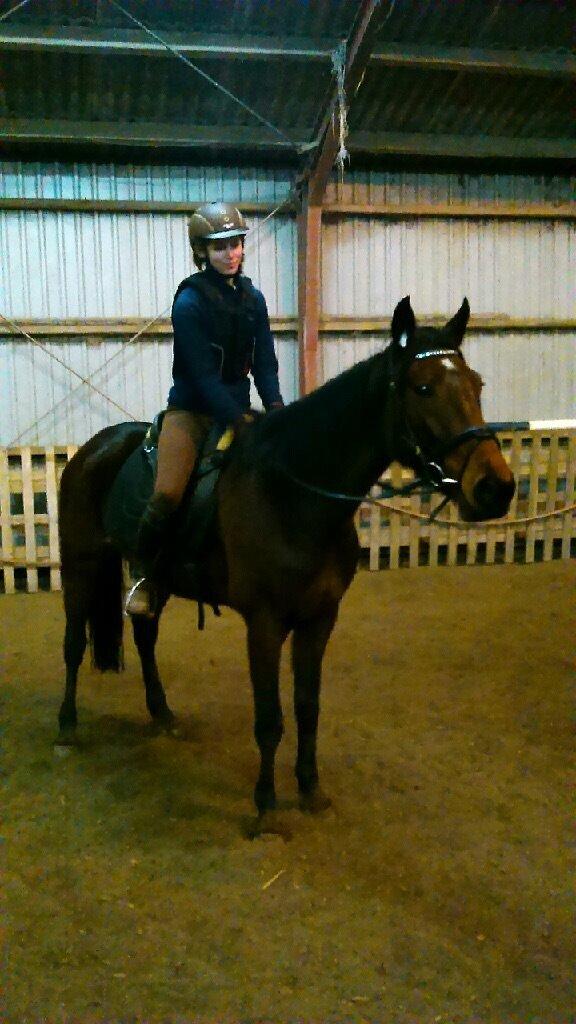 Traver Titania billede 3