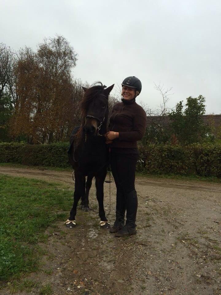 Islænder Embla Fra Flødal billede 7