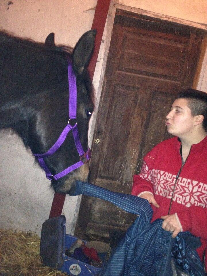 Oldenborg Akeem <3 billede 23