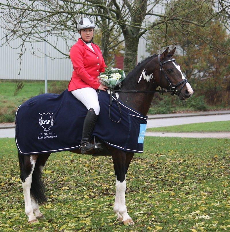 Pinto GOLFINO ( EU Hingst ) billede 5