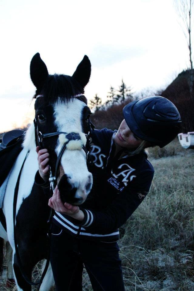 Anden særlig race Rain Solei - B-pony billede 12