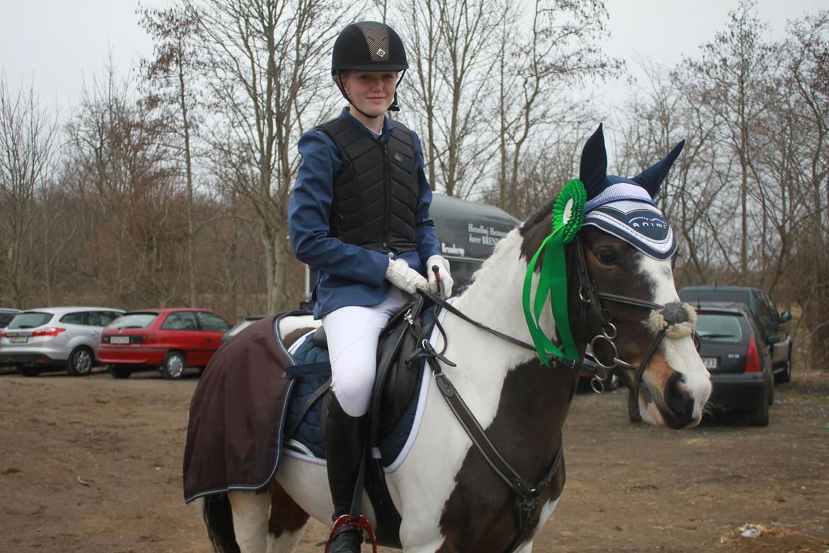 Anden særlig race Rain Solei - B-pony billede 18