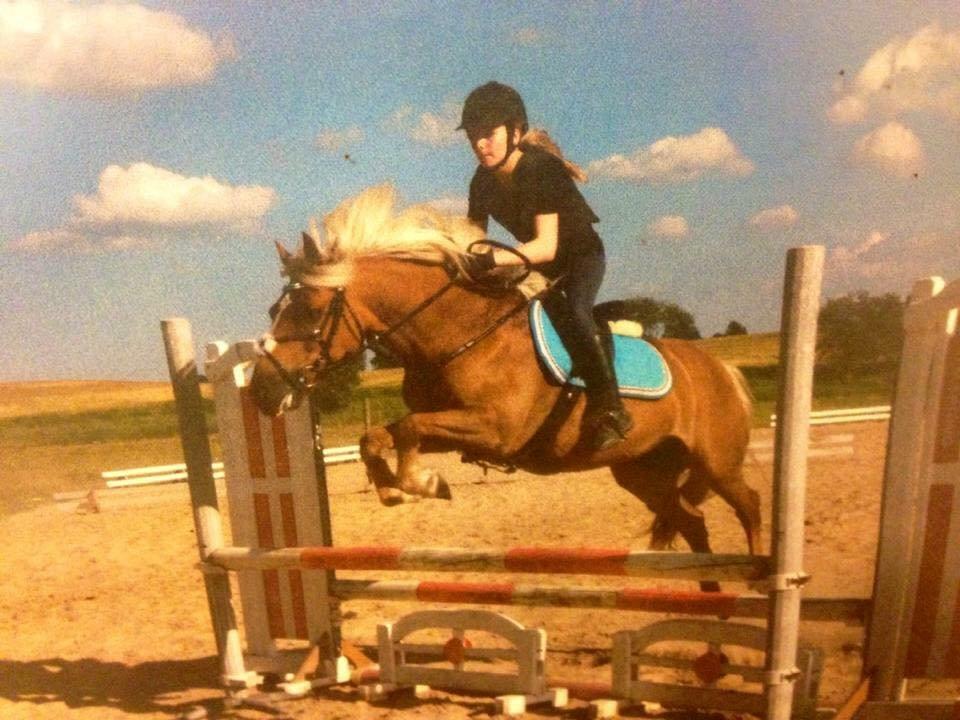 Haflinger Røgtergårdens Aqua *Felix* //MY SOULMATE<3// - *NYT* Springundervisning - Sommer 2014 - Foto: Sara billede 15