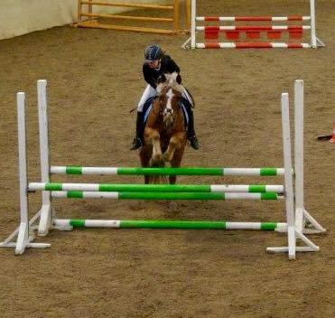 Haflinger Røgtergårdens Aqua *Felix* //MY SOULMATE<3// - *NYT* LC (80 cm) metode B4 - 15-11-2014 - Foto: Catrine billede 12