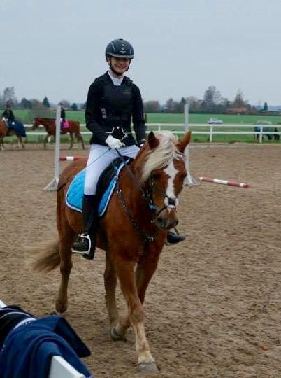 Haflinger Røgtergårdens Aqua *Felix* //MY SOULMATE<3// - *NYT* Opvarmning til stævne i RVV - 15-11-2014 - Foto: Catrine billede 11