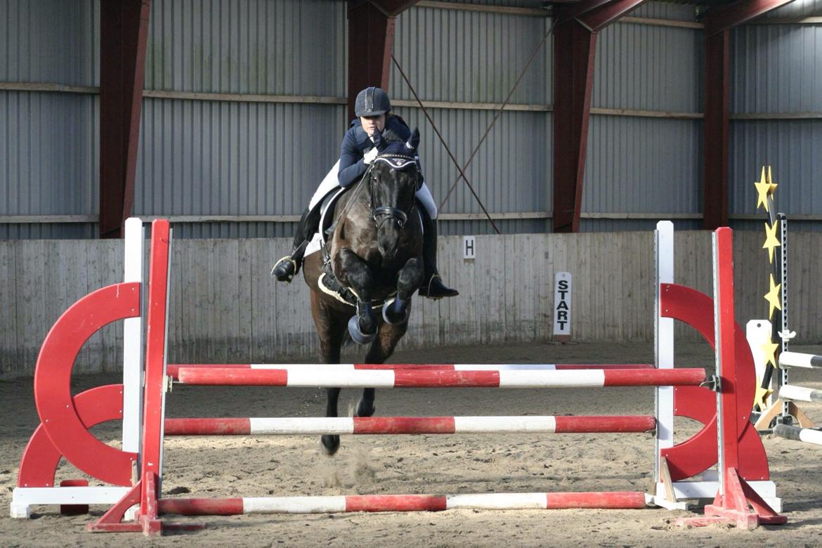 Oldenborg Ursandi af Hvarre billede 21