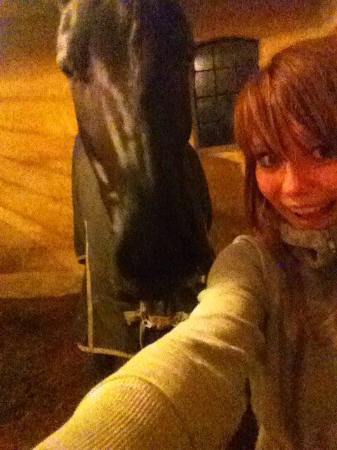 Dansk Varmblod Faabækgaards Truely Devinded [himmelhest] billede 9