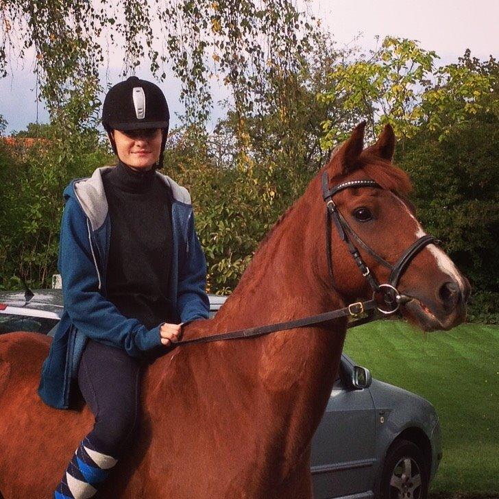 Anden særlig race Diablo billede 4