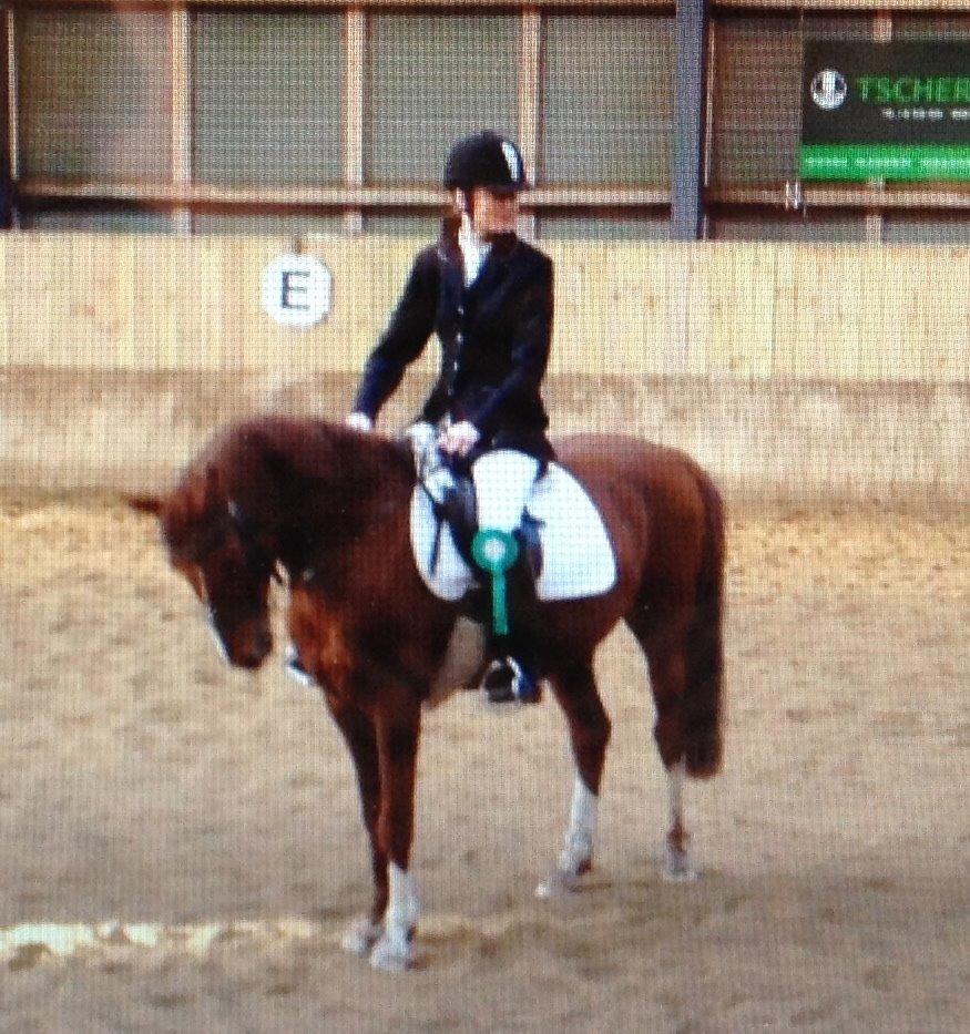 Anden særlig race Diablo billede 13